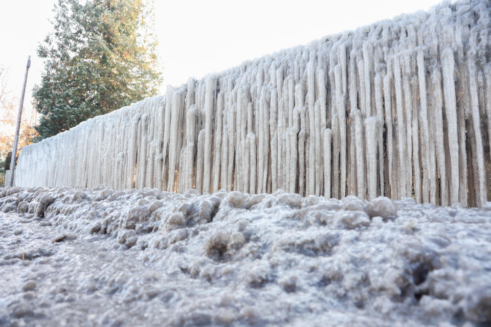 A burst water main has created wonderful icicles on hedges surrounding a property in Staunton. (SWNS)