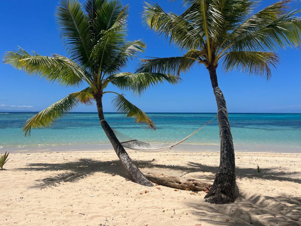 Two palm trees with a hammock hanging in between them in front of the ocean and blue skies in the background