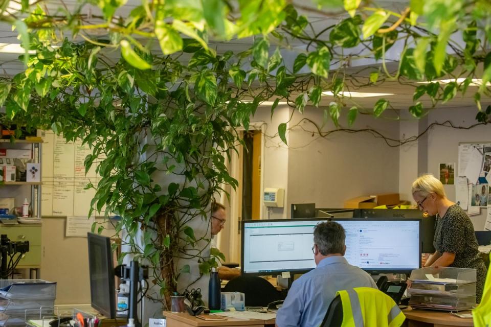 The ‘absolutely massive’ plant loops around the office several times (SWNS)
