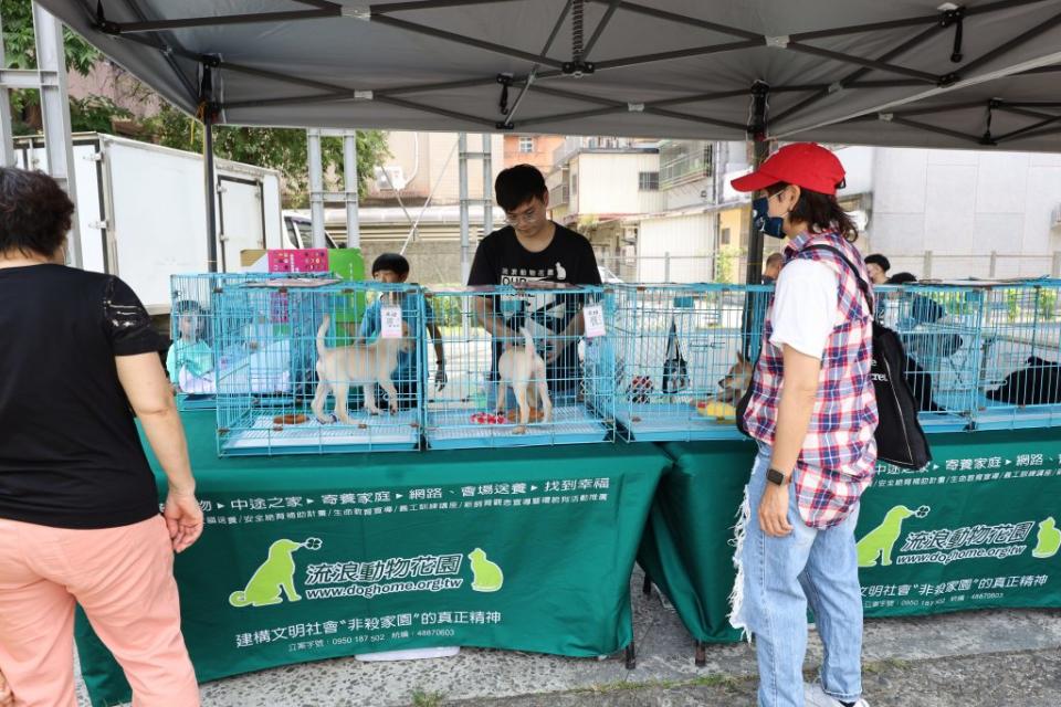 羅東青創「公園集市Ｘ動物派對」市集活動，邀請友善動物組織一起共襄盛舉，現場宣導友善動物理念並提供狂犬病疫苗、晶片施打服務與認養流浪犬等。（羅東鎮公所提供）