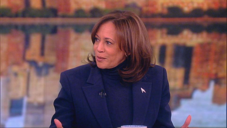 PHOTO: Vice President Kamala Harris speaks on 'The View' on Jan. 17, 2024. (ABC News)