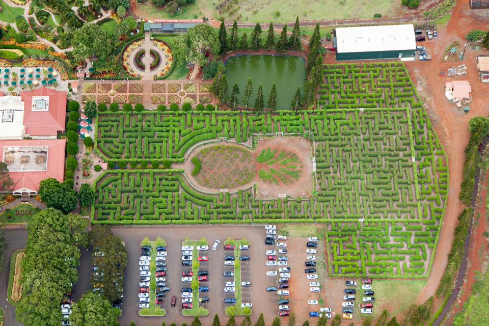 Dole Plantation (Crédit : Getty Images)