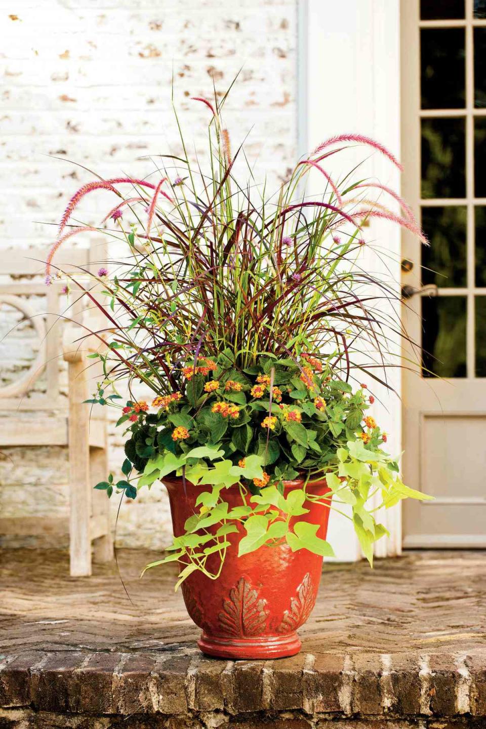 Vibrant Seasonal Pot