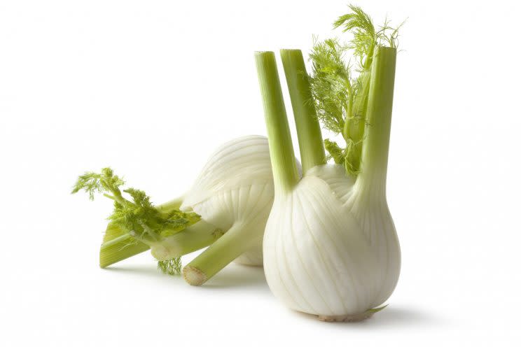 A new study of fennel backs up its long-touted medicinal properties.