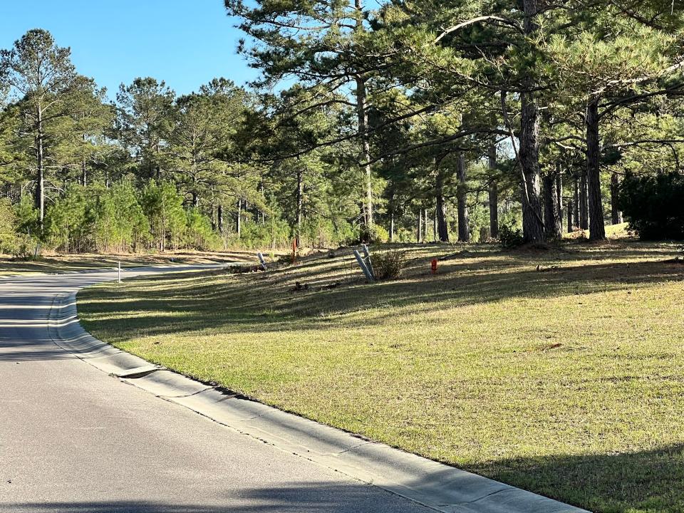 A view down the main road in the Jaguar's Lair section of Ocean Ridge in March 2020 reveals protruding pipes waiting for homes that may someday be built. Recently, a portion of the village was sold to a Belville-based developer.