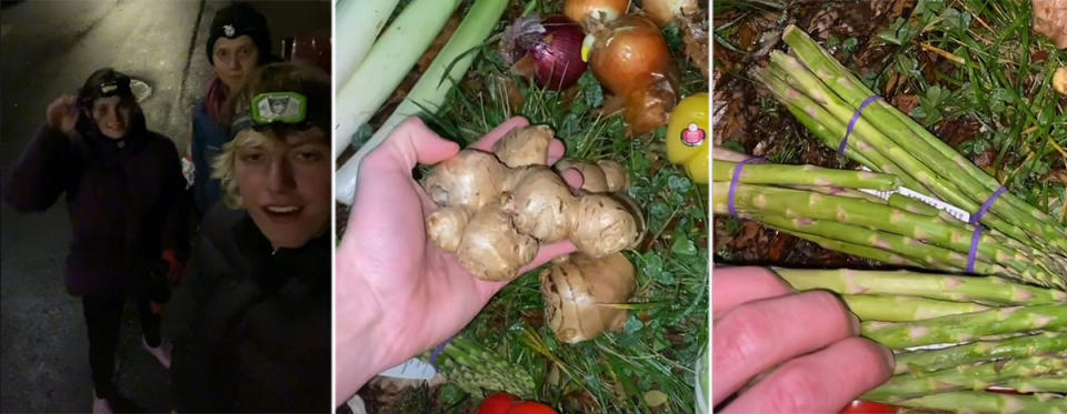 TikToker Luca Corby with friends in headlamps; hands holding fresh ginger and asparagus from IGA.