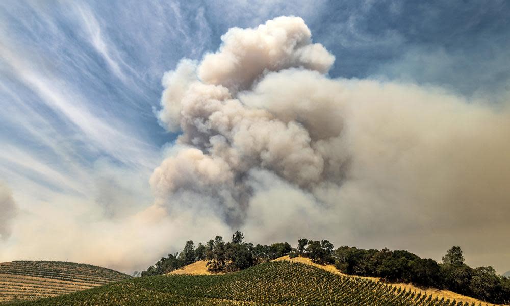 <span>Photograph: Noah Berger/AP</span>