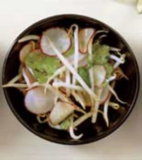 bean sprout salad