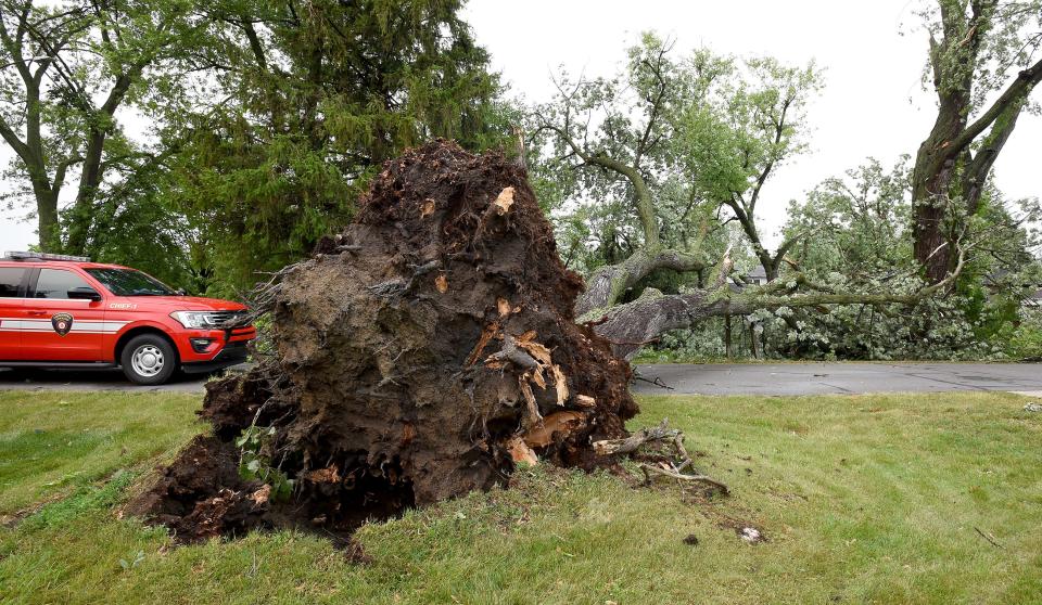 Frenchtown Fire Department Chief Wendy Stevens is on the scene on South Grove Street in Grand Beach, Frenchtown Township, after leaving the scene of a tall maple tree that fell across the road.