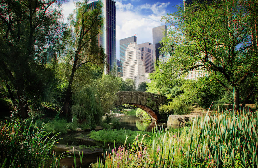 CENTRAL PARK IN NEW YORK