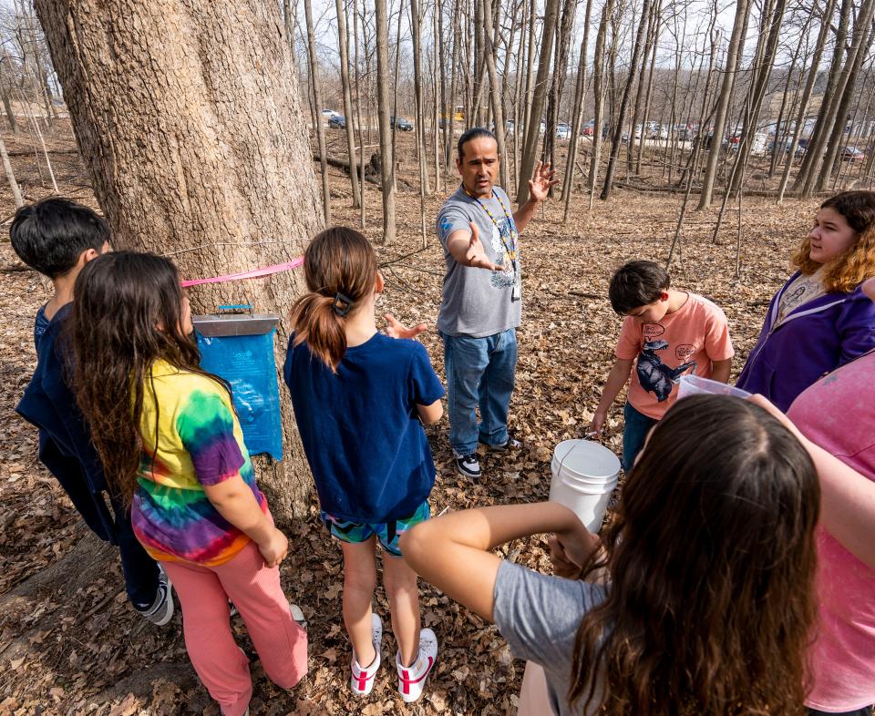 Michael DeMain, Indigenous education instructor, teaches the fifth-grade tribal students from the Indian Community School how to tap maple trees for sugar at the Wehr Nature Center on Feb. 27, 2024 in Franklin.