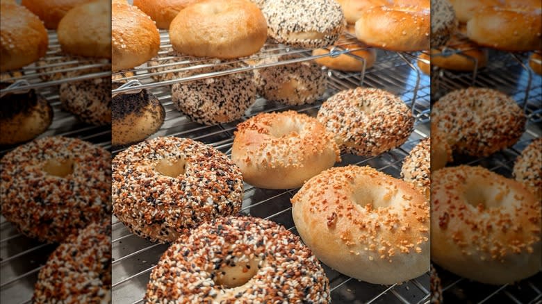 Selection of Arvada Bagels flavors