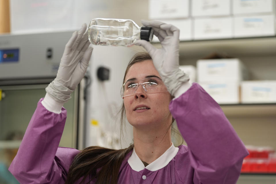 Nicole Foley checks a bottle to see the condition of mosquitoes exposed to a particular insecticide as part of a test during a tour of the Center for Disease Control laboratory, Thursday, April 4, 2024, in Fort Collins, Colo. (AP Photo/David Zalubowski)