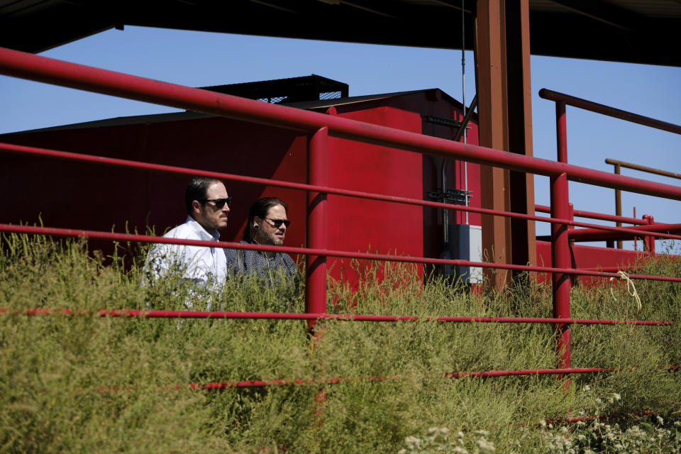 Bryan Warner and Ryan Mackey watch a bison bull through a fence at a ranch operated by the Cherokee Nation in Bull Hollow, Okla., on Sept. 27, 2022. For now the Cherokee are not harvesting the animals, whose bulls can weigh up to 2,000 pounds and stand 6 feet tall, as leaders focus on growing the herd. But bison, a lean protein, could serve in the future as a food source for Cherokee schools and nutrition centers, says Warner, the tribe's deputy principal chief. (AP Photo/Audrey Jackson)