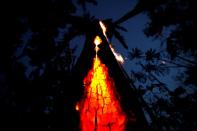 Pictures of the Year: Fires in the Amazon: a barrier to climate change up in smoke