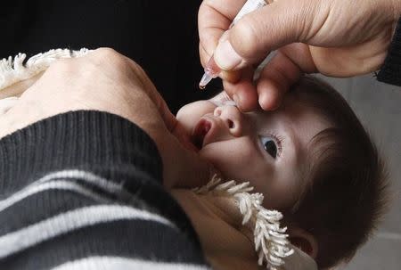 A health worker administers polio vaccination to a child in Raqqa, eastern Syria November 18, 2013. REUTERS/Nour Fourat