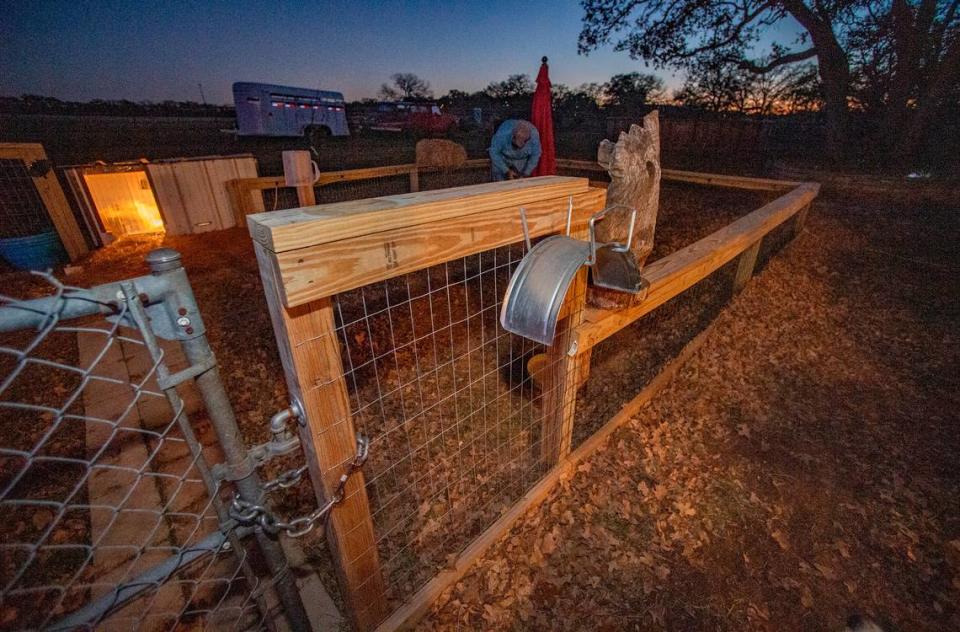 A large chain now reinforces the simple hook gate that keeps Hoss from venturing out again. Of course, for added security, the Wheelers have attached an Apple AirTag to the tortoise’s shell. DAVID MONTESINO/dmontesino@star-telegram.com