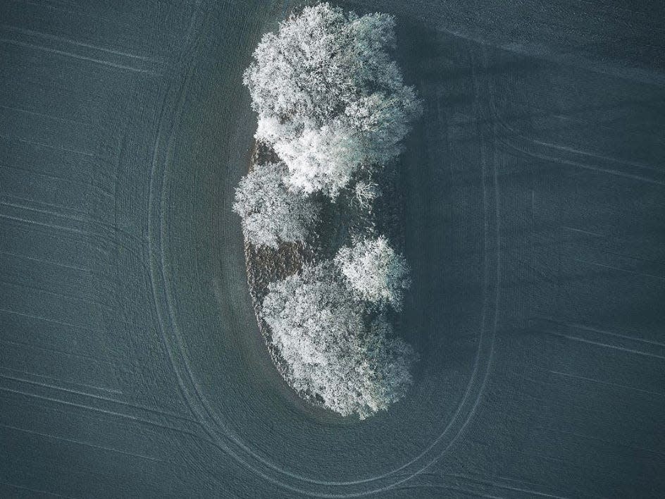 frozen trees aerial shot