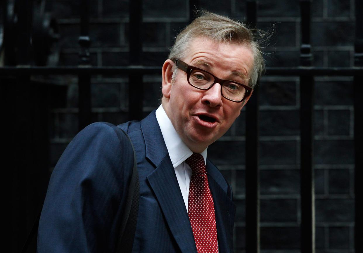 <p>Cabinet Office minister Michael Gove</p> (Reuters)