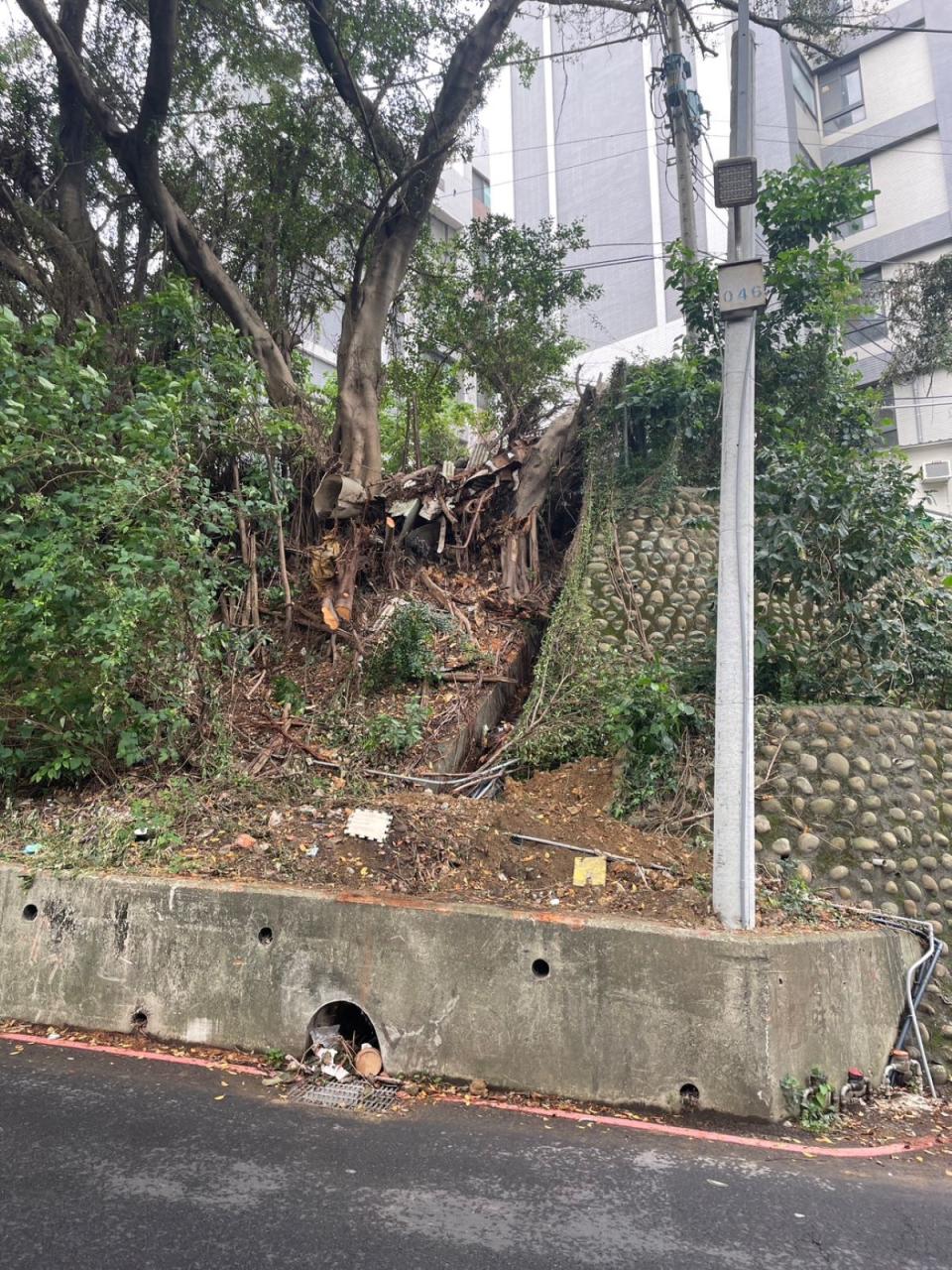 路樹倒塌出人命，家屬提國賠，高公局和市府互有立場。（圖：鄭正鈐提供）