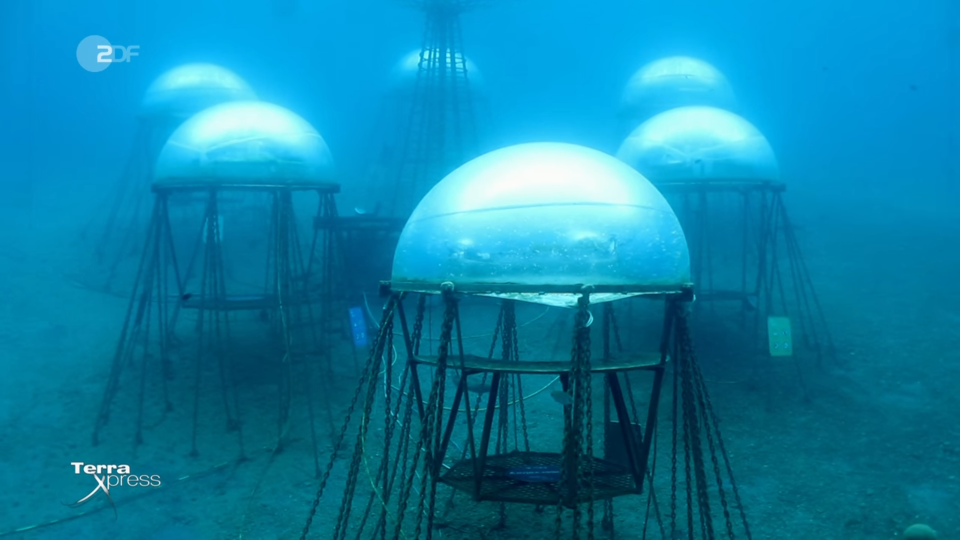 Die Biosphären in Nemos Garten, mittlerweile gibt es insgesamt sechs. (Bild: Screenshot / ZDF)