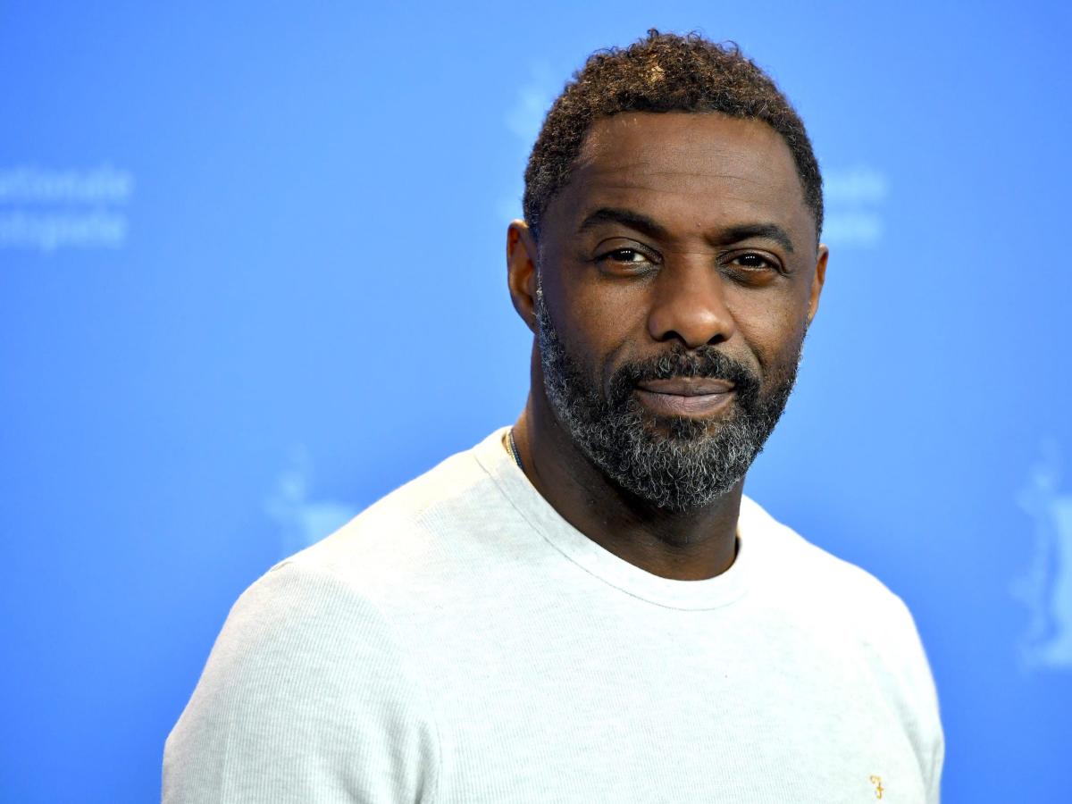 Idris Elba is going to play fan-favorite character Knuckles in the next  Sonic the Hedgehog movie