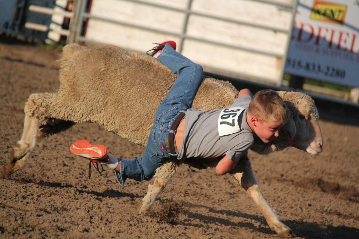 Ryan Adickes, 8, fights to hold on during a mutton busting event at the Dallas County Fair on Thursday, July 13, 2023, in Adel. Mutton busting will return to the fairgrounds on Aug. 18-19 during the Adel Breakout Rodeo.