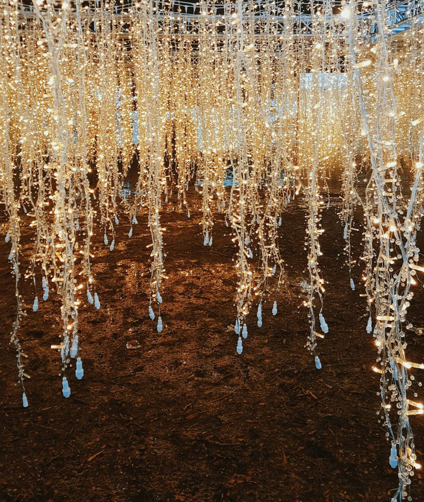 A new Christmas maze is lighting up the city of Vancouver. Photo from Instagram/tiinkie.