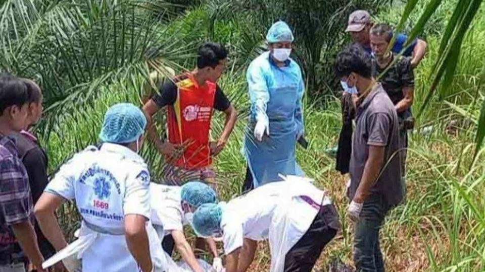 飼養員塔翁（Thawon Wongfaed）逼大象在酷暑下搬運橡木，慘遭切成兩半慘死。（圖／翻攝自新聞周刊）
