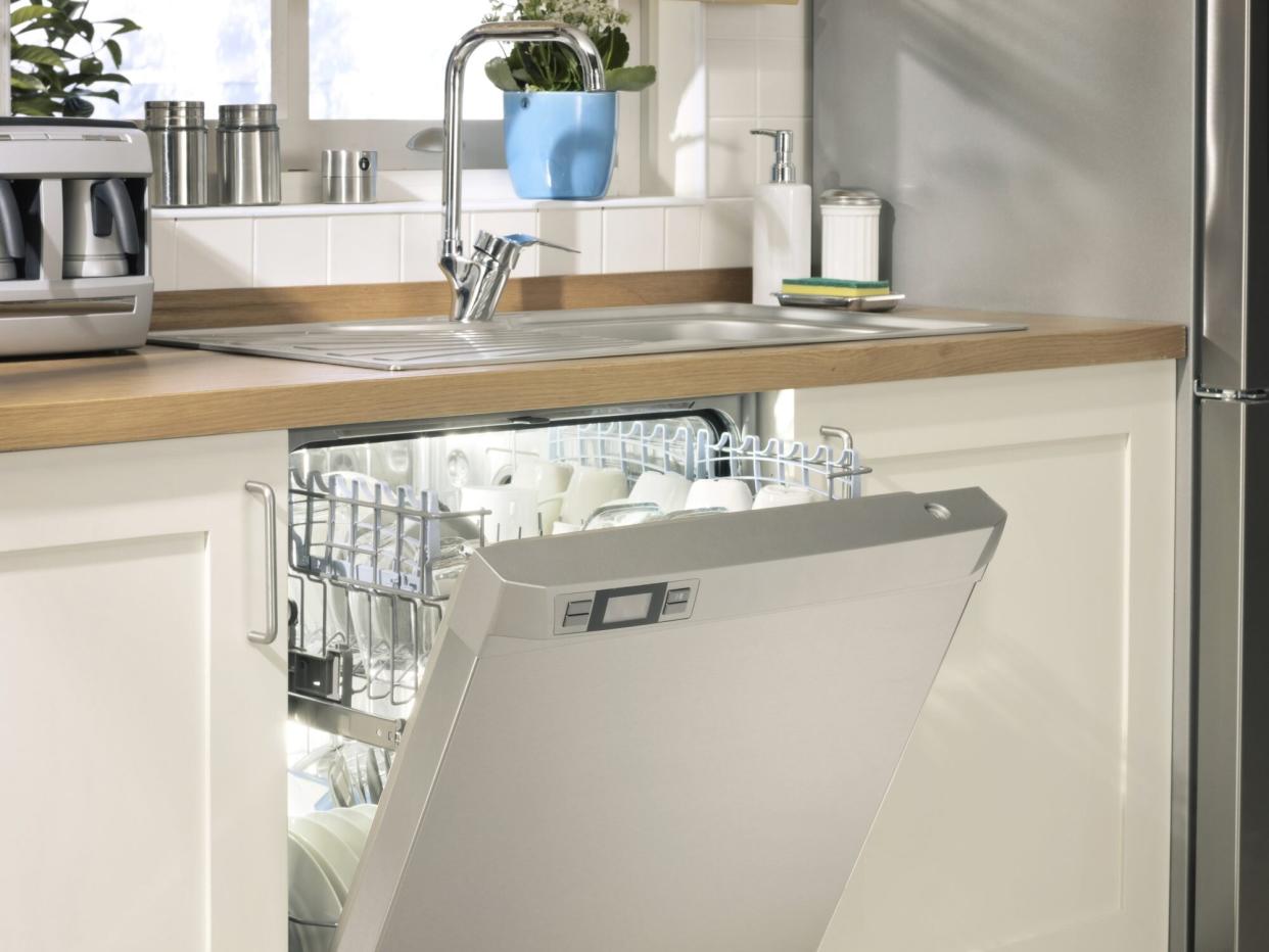 clean dishwasher in chic kitchen