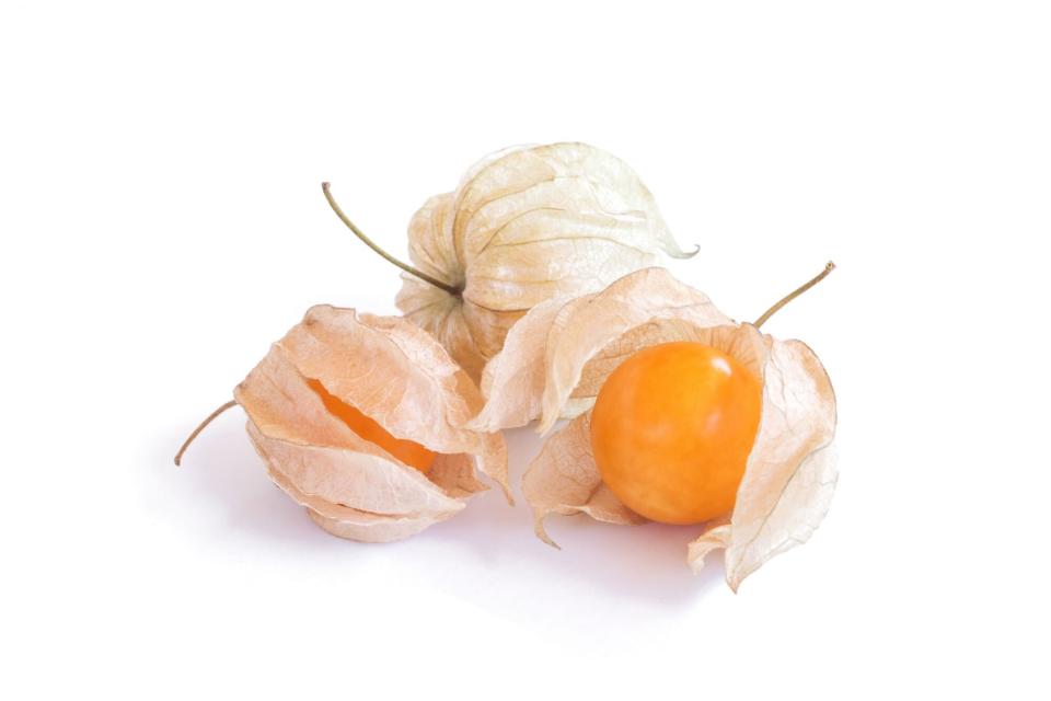 Ground Cherries on White Background