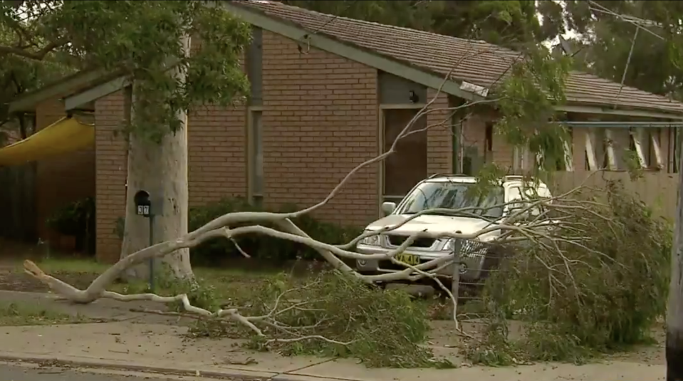 Emergency crews in NSW received 80 calls overnight. Source: Today