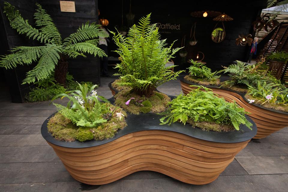 Sheila Jack's planting was inspired by the sub-tropical wilderness of Helston in Cornwall, where ferns, orchids and moss colonize every surface.