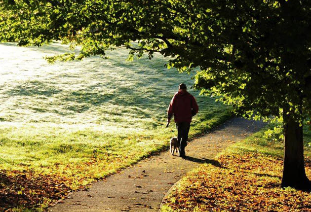 Forget mists and mellow fruitfulness. This week has seen snow, sun and frost across the UK.