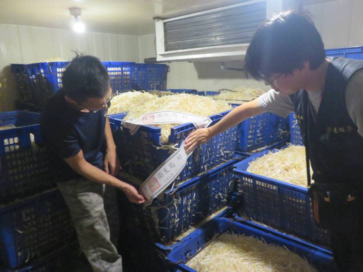 新北市政府衛生局查獲豆芽的製造廠違法使用漂白劑，現場立即封存。（圖／新北市政府衛生局提供）