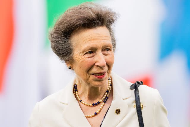 <p>Rolf Vennenbernd/Picture Alliance via Getty</p> Princess Anne in June 2023.