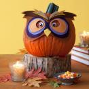 <p><i><a href="http://www.allyou.com/budget-home/crafts/easy-pumpkin-crafts/owl-halloween-pumpkin-0914" rel="nofollow noopener" target="_blank" data-ylk="slk:[Photo: Kate Sears/ All You];elm:context_link;itc:0;sec:content-canvas" class="link ">[Photo: Kate Sears/ All You]</a></i></p>