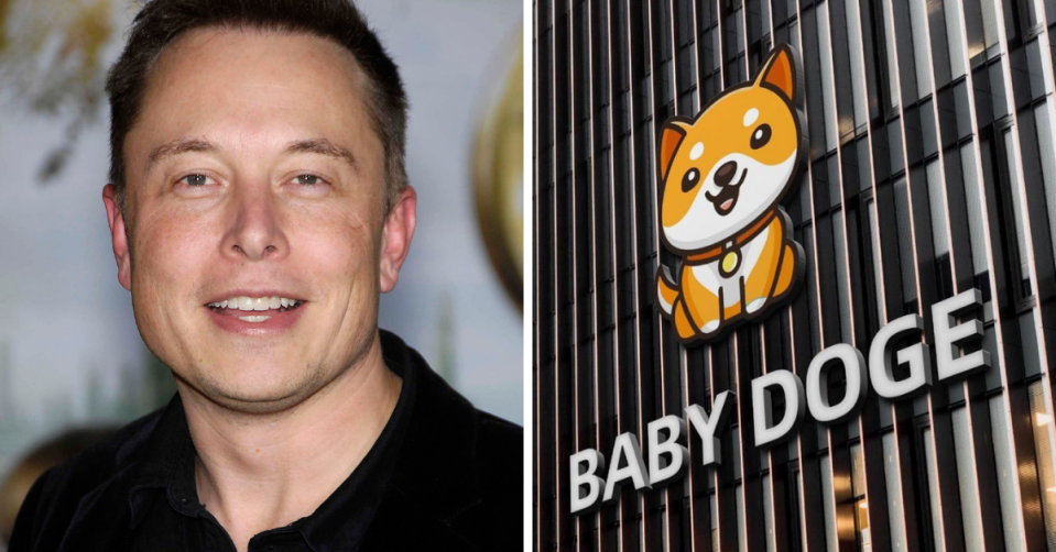 Elon Musk and Baby Doge