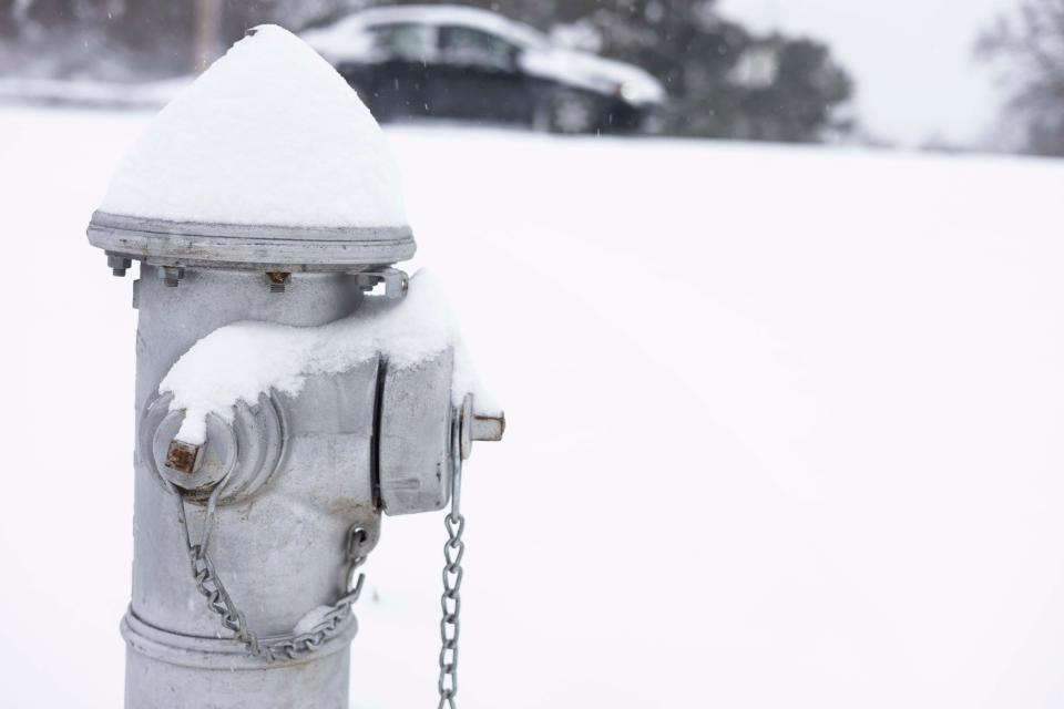 Snow is seen on a fire hydrant outside a home in the Raleigh area on Dr. Martin Luther King Day on Monday, Jan. 15, 2024. The Memphis area is expecting 3 to 6 inches of snow and below-freezing temperatures.