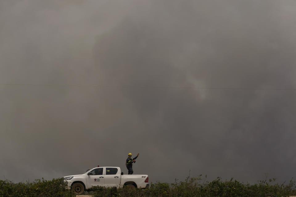 Un veterinario busca animales heridos en una zona consumida por incendios forestales cerca de Transpantaneira, también conocida como MT-060, un camino que atraviesa los humedales de Pantanal, el jueves 16 de noviembre de 2023, cerca de Poconé, en el estado de Matto Grosso, Brasil. (AP Foto/Andre Penner)