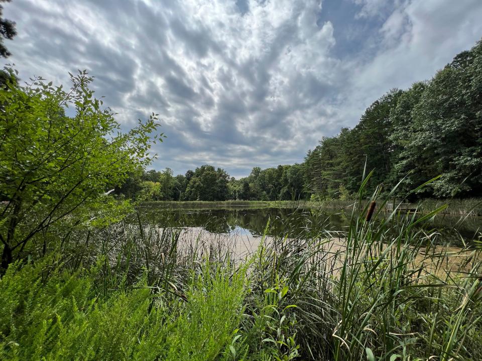 Utah Ridge Pond is seen inside Wayne National Forest in Millfield, Ohio in August.