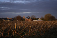 The sun begins to rise through a stormy sky, highlighting a field of crops in Ledegem, Belgium, Tuesday, Feb. 13, 2024. Fickle regulations are a key complaint heard from European farmers protesting over the past weeks, setting up a key theme for the upcoming June 6-9 parliamentary elections in the 27-nation European Union. (AP Photo/Virginia Mayo)