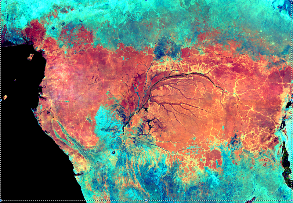 Mosaïque d’images satellite infra-rouge sur toute l’Afrique Centrale (Satellite MODIS, 10 ans d’observation). Nicolas Barbier, Fourni par l'auteur