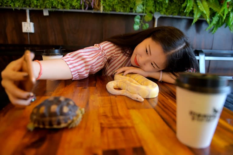 Visitors can order a coffee and request a sit-down with a serpentine friend from one of the tanks