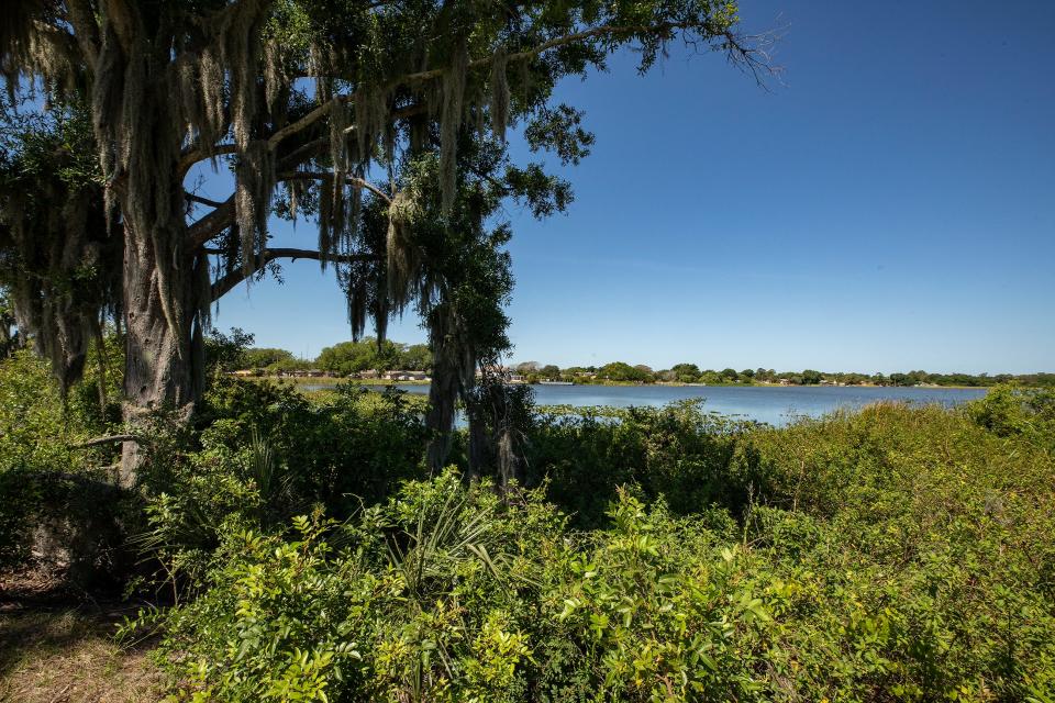 Winter Haven is turning restored wetlands on the south side of Lake Conine into a nature park,