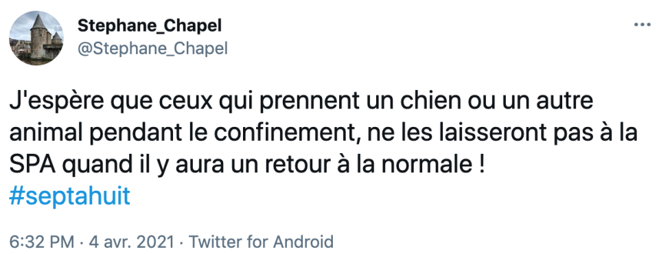 Un reportage sur les ventes de chiots pendant le confinement scandalise la Toile 