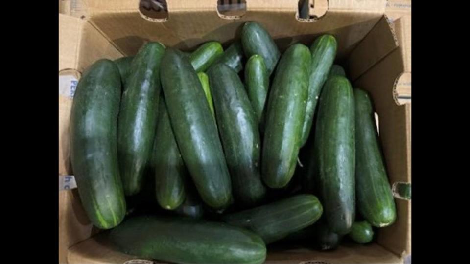 A box of Fresh Start Produce Sales cucumbers. An FDA investigation drilled down to Fresh Start’s supplier just outside Delray Beach.