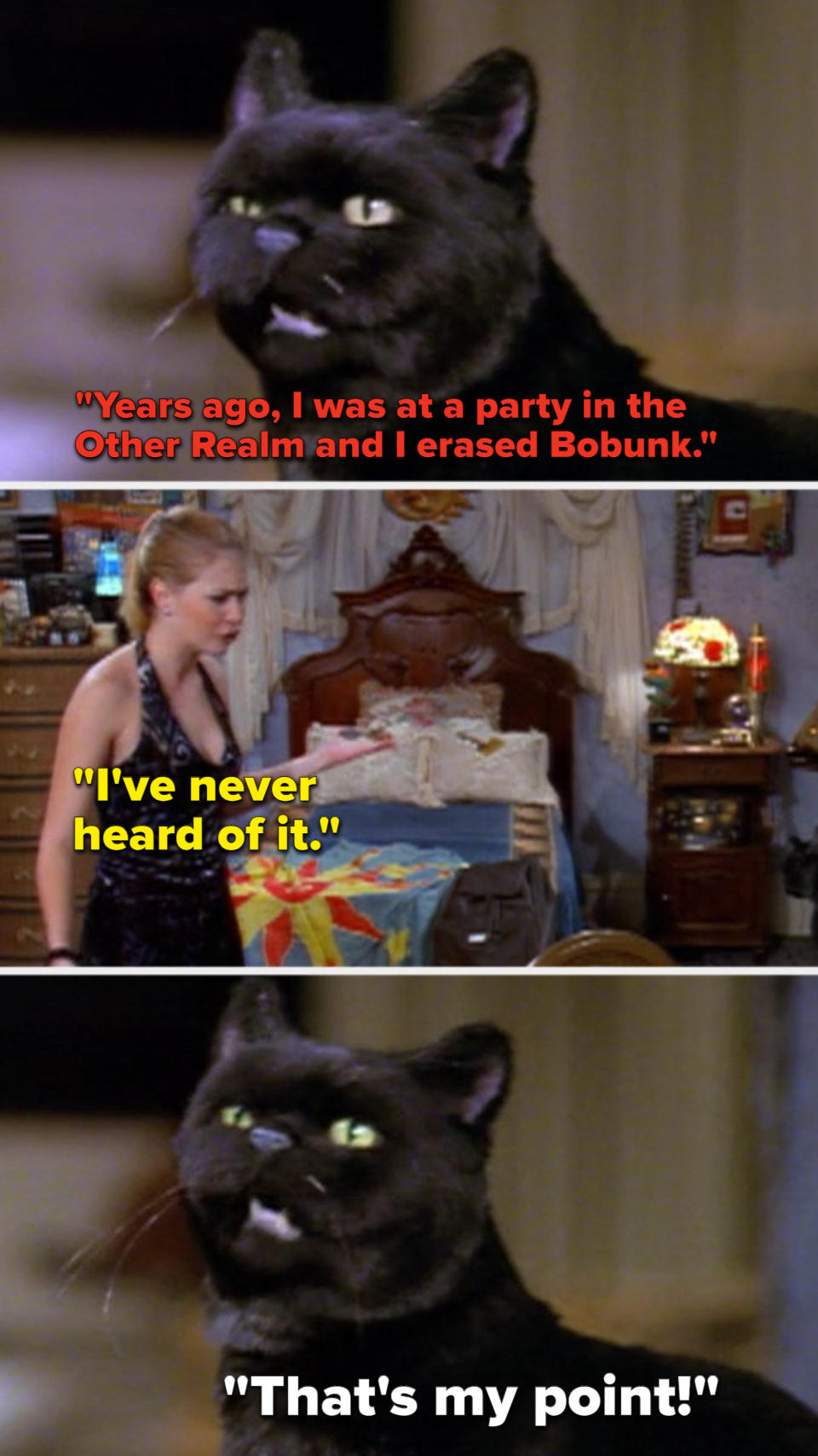 Salem tells Sabrina about the holiday he accidentally erased, which was called Bobunk