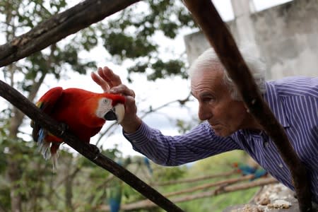 Vittorio Poggi caresses a macaw's head at his house near Caracas