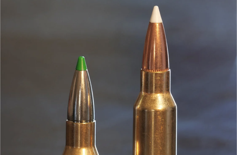 .300 win. mag vs .308